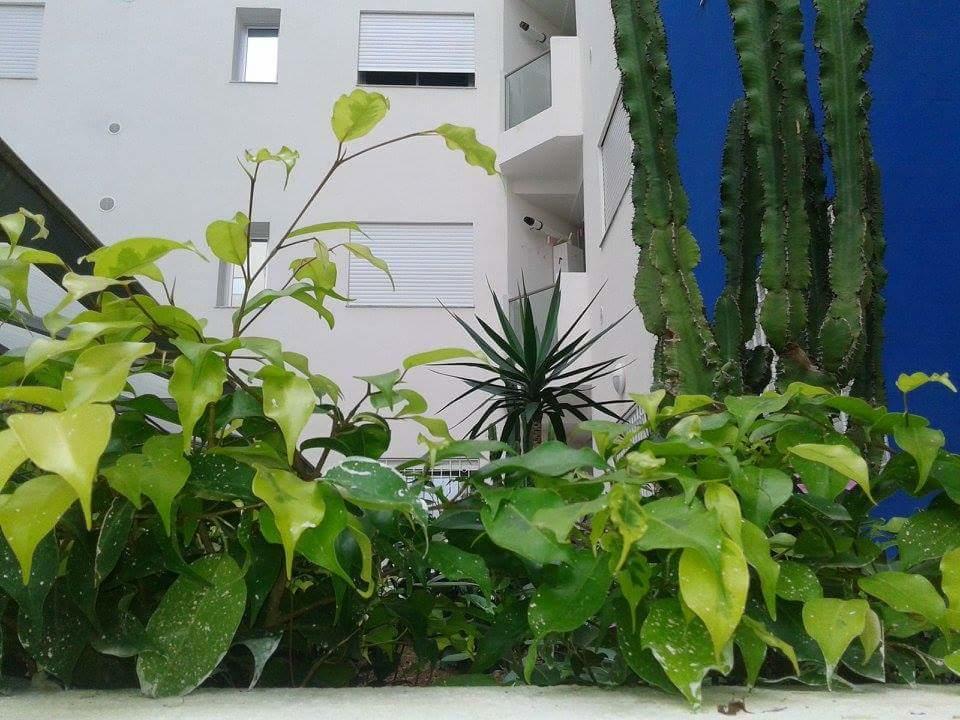 Le Lagon De Hammamet Quarto foto